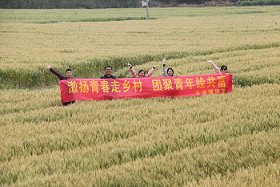 图片3 - 副本.png